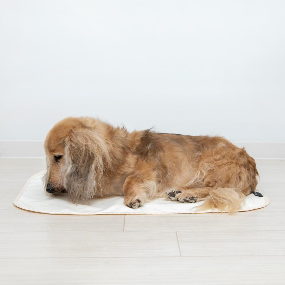 HappyDays 洗える消臭防水シート S メーカー直送▼返品・キャンセル不可【他商品との同時購入不可】