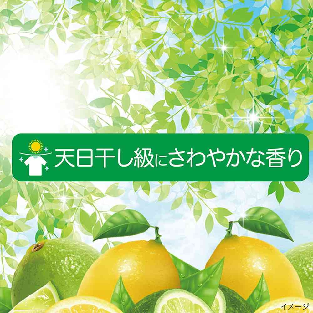 P&G アリエールMiRAi 超濃縮 部屋干し&スポーツ つめかえ 超ジャンボサイズ 800g