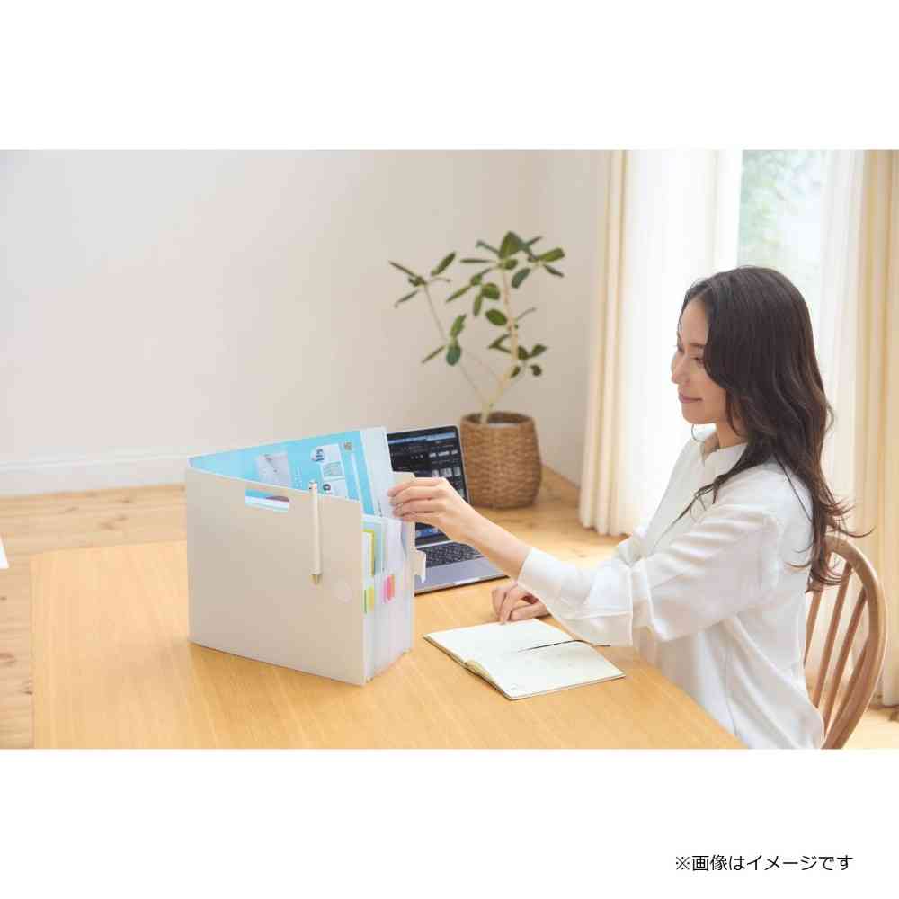 サクラクレパス こまごまファイル パステルブルー A4サイズ パステルブルー