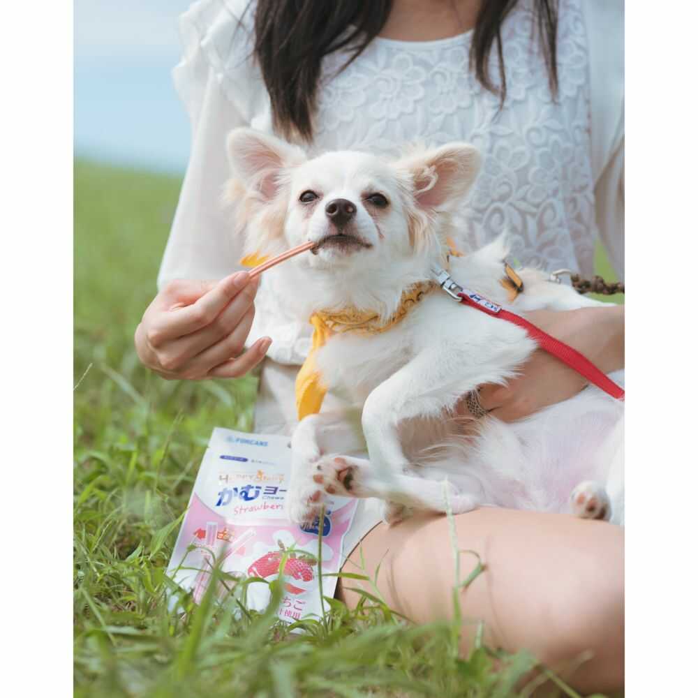 かむヨーグルト青リンゴ 14本/90g