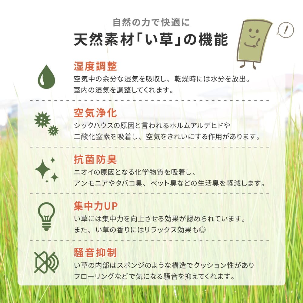 い草カーペット 柳川(やながわ) 江戸間8畳 メーカー直送 ▼返品・キャンセル不可【他商品との同時購入不可】