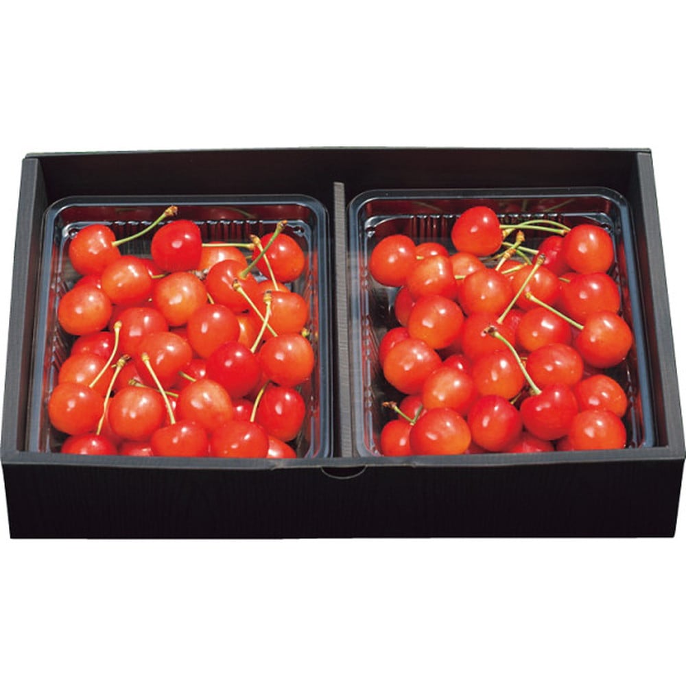 ◆【お中元限定】アンスリーファーム 佐藤錦(秀品)(600g)◇ メーカー直送 ▼返品・キャンセル不可【他商品との同時購入不可】