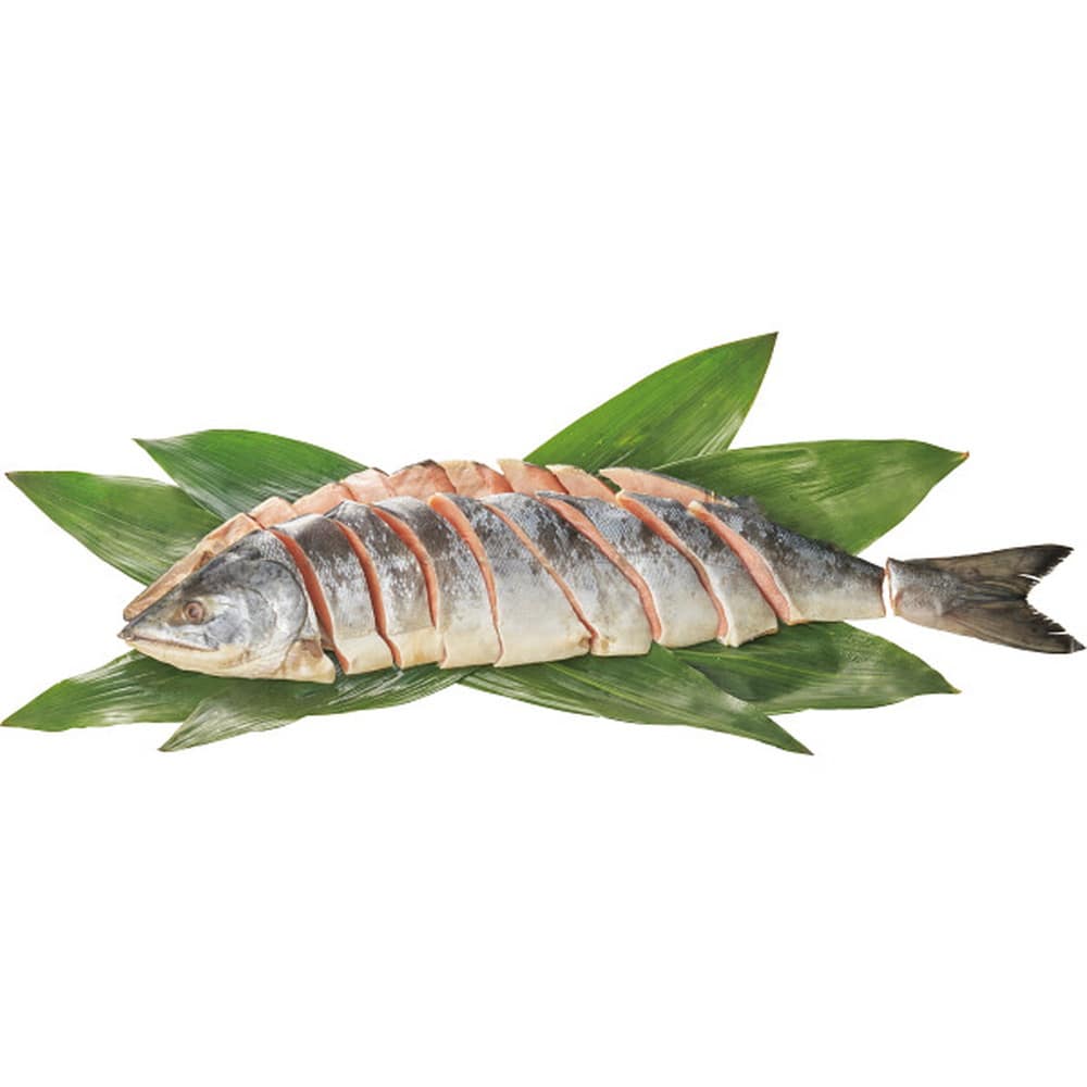 ◆【お歳暮限定】北海道礼文島・利尻島沖産 熟成新巻鮭姿L1.5kg◇メーカー直送 ▼返品・キャンセル不可【他商品との同時購入不可】