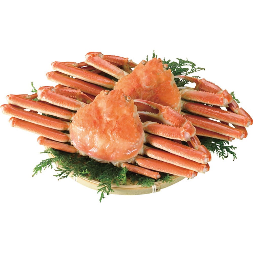 ◆【お歳暮限定】ボイルずわいがに姿(2杯 計1kg)◇メーカー直送 ▼返品・キャンセル不可【他商品との同時購入不可】