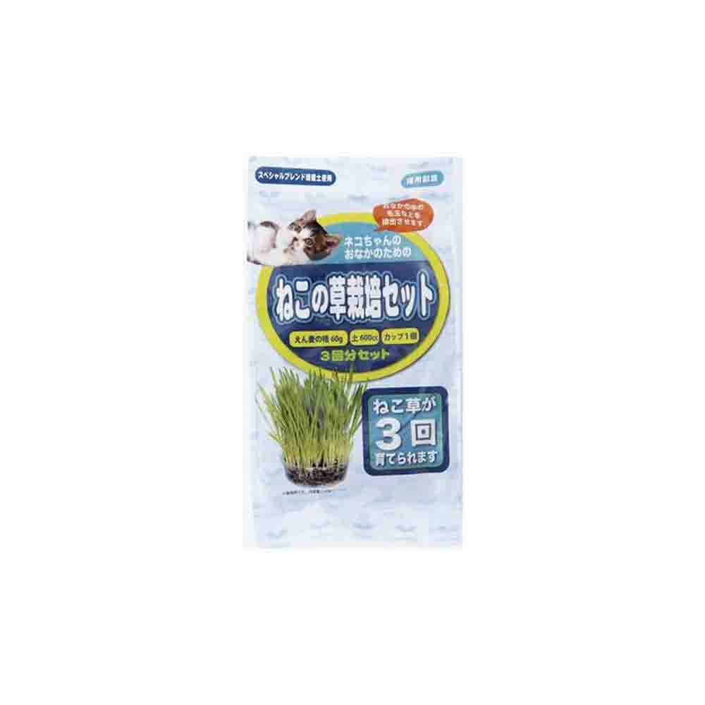 アラタ ねこ草栽培セット 3回分
