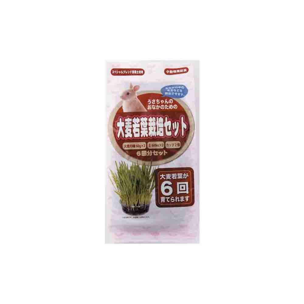 アラタ うさぎ大麦栽培セット 6回分