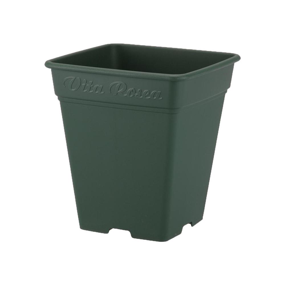 アップルウェアー ロゼアスクエア グリーン グリーン