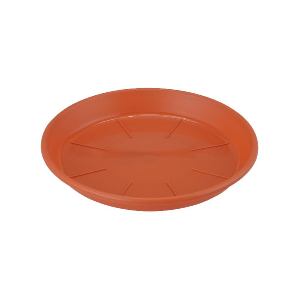 アップルウェアー 浅皿AP テラコッタ テラコッタ