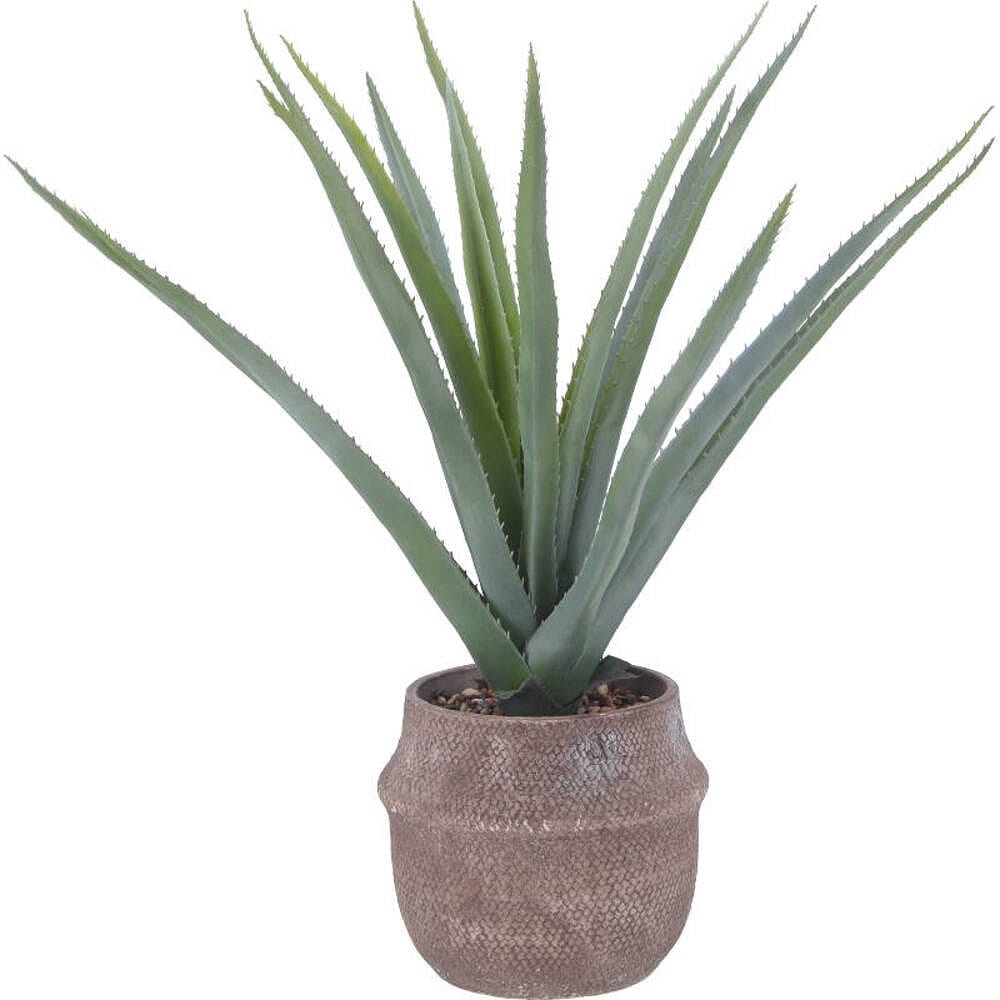 フェイクグリーン アロエ M セメントポット 41136 メーカー直送 ▼返品・キャンセル不可【他商品との同時購入不可】