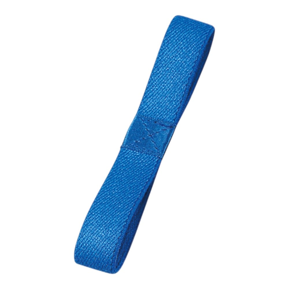 たつみや ランチバンド 青