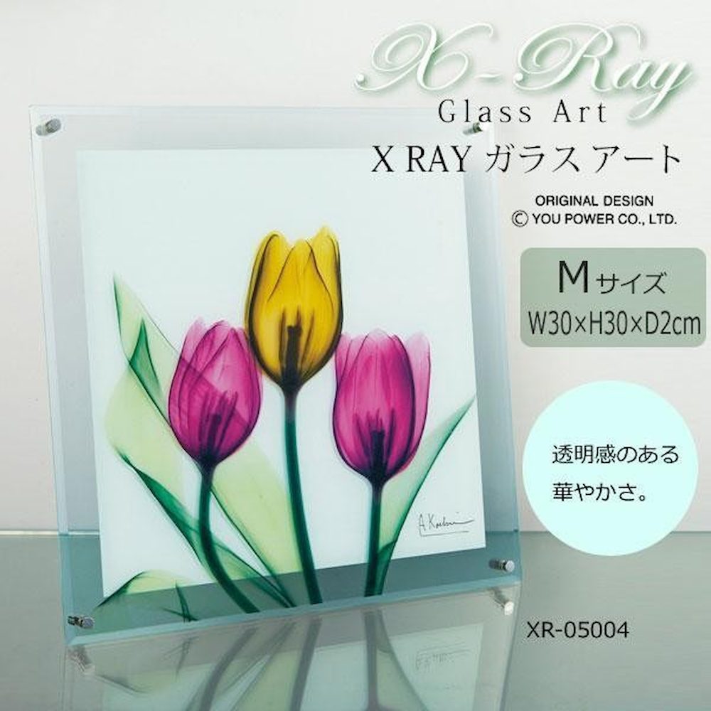 X RAY ガラス アート チューリップ Mサイズ 【直送品】 返品・キャンセル・他商品と同時購入は不可