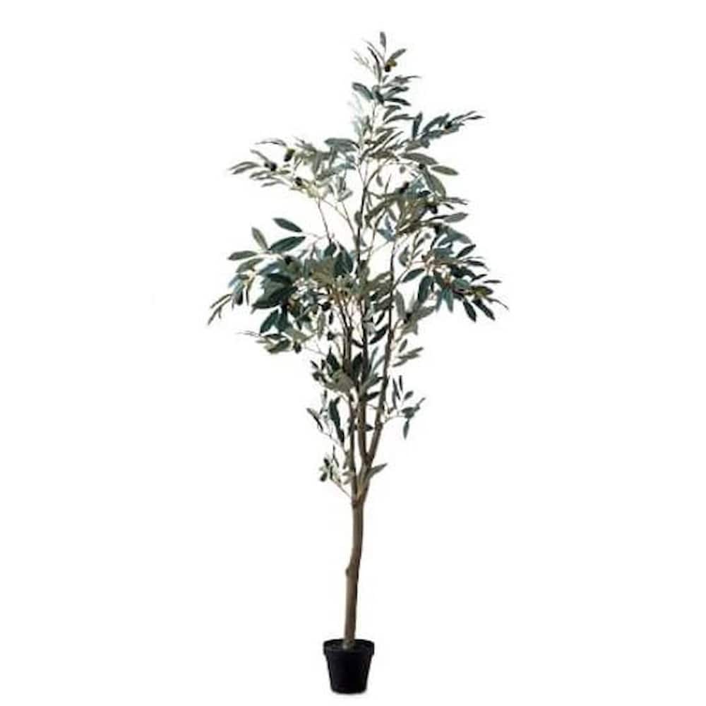 オリーブツリー 80954 【直送品】 返品・キャンセル・他商品と同時購入は不可