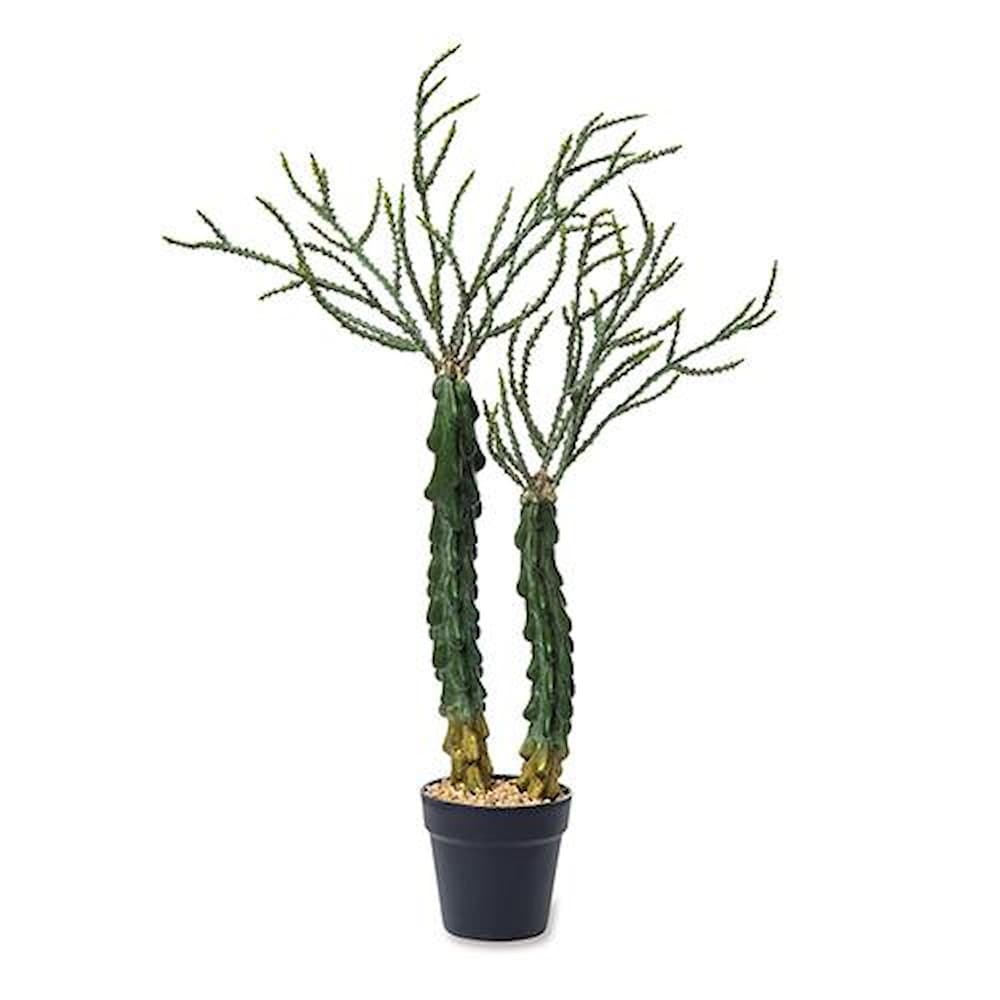 フェイクグリーン ユーフォルビア 81123 【直送品】 返品・キャンセル・他商品と同時購入は不可