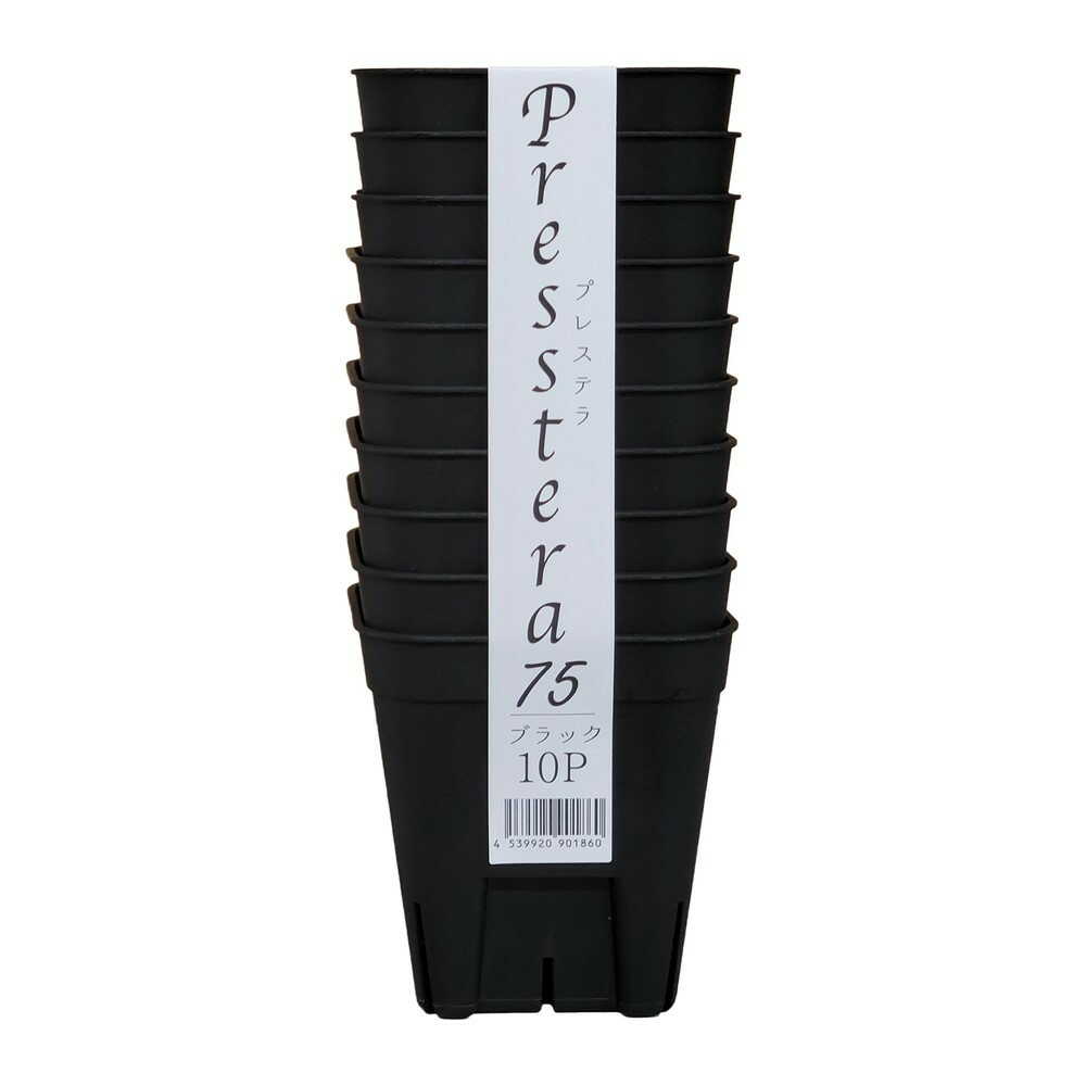 アップルウェアー プレステラ 75型 ブラック 10個組