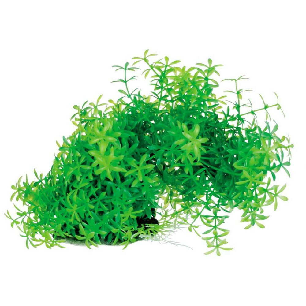 スペクトラムブランズジャパン テトラ フレキシブルプラント ＦＰ-1 1個