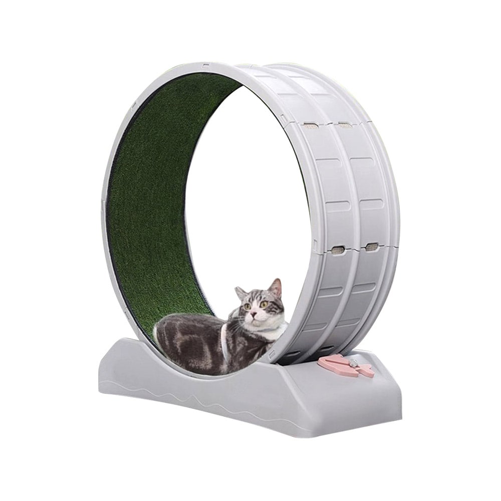 ランニングマシーン 犬猫ホイールABS メーカー直送 ▼返品・キャンセル不可[他商品との同時購入不可]