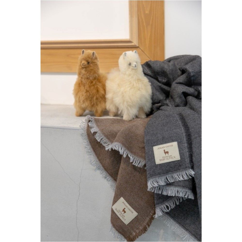 Z1144 一重ガーゼストール ブラック BAIG-1200 【直送品】 返品・キャンセル・他商品と同時購入は不可