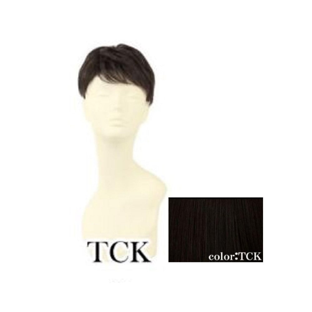 プリシラ 男性用5分ウィッグ レイヤーショート 耐熱 【直送品】 返品・キャンセル・他商品と同時購入は不可