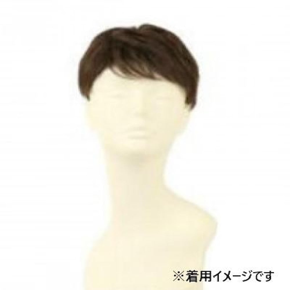 プリシラ 男性用5分ウィッグ レイヤーショート 耐熱 【直送品】 返品・キャンセル・他商品と同時購入は不可