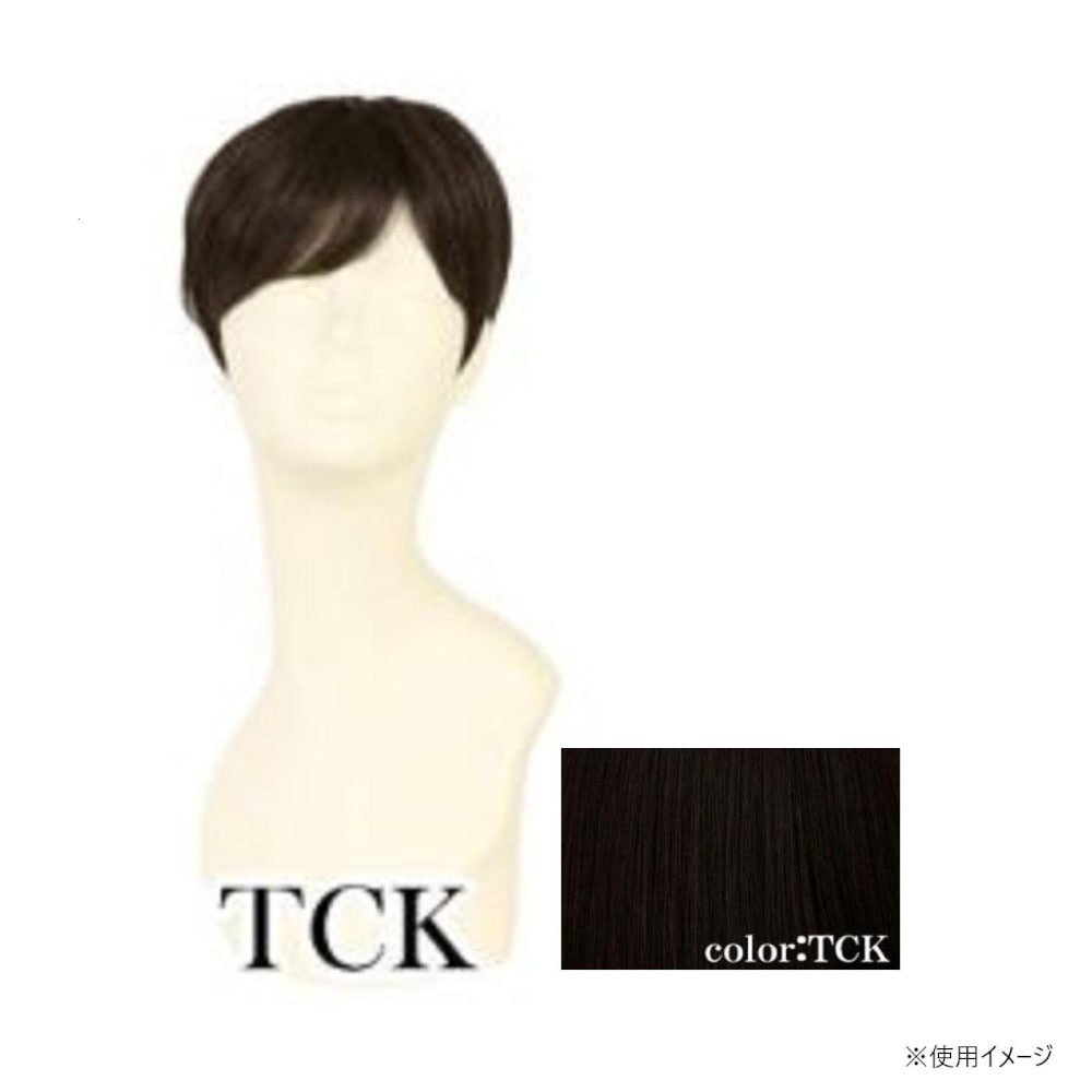 プリシラ 男性用5分ウィッグ ミディアムショート 耐熱 【直送品】 返品・キャンセル・他商品と同時購入は不可