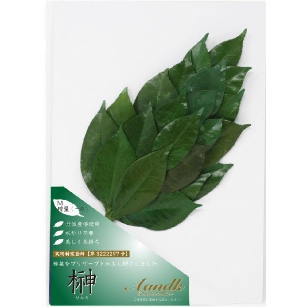 榊 プレミアムプリザーブドM FS-005MV メーカー直送 ▼返品・キャンセル不可【他商品との同時購入不可】