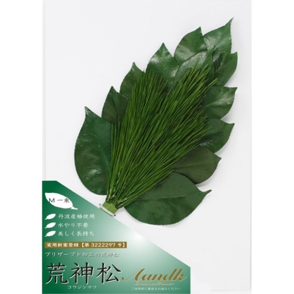 榊 プレミアムプリザーブド 荒神松 M FK-007M メーカー直送 ▼返品・キャンセル不可【他商品との同時購入不可】