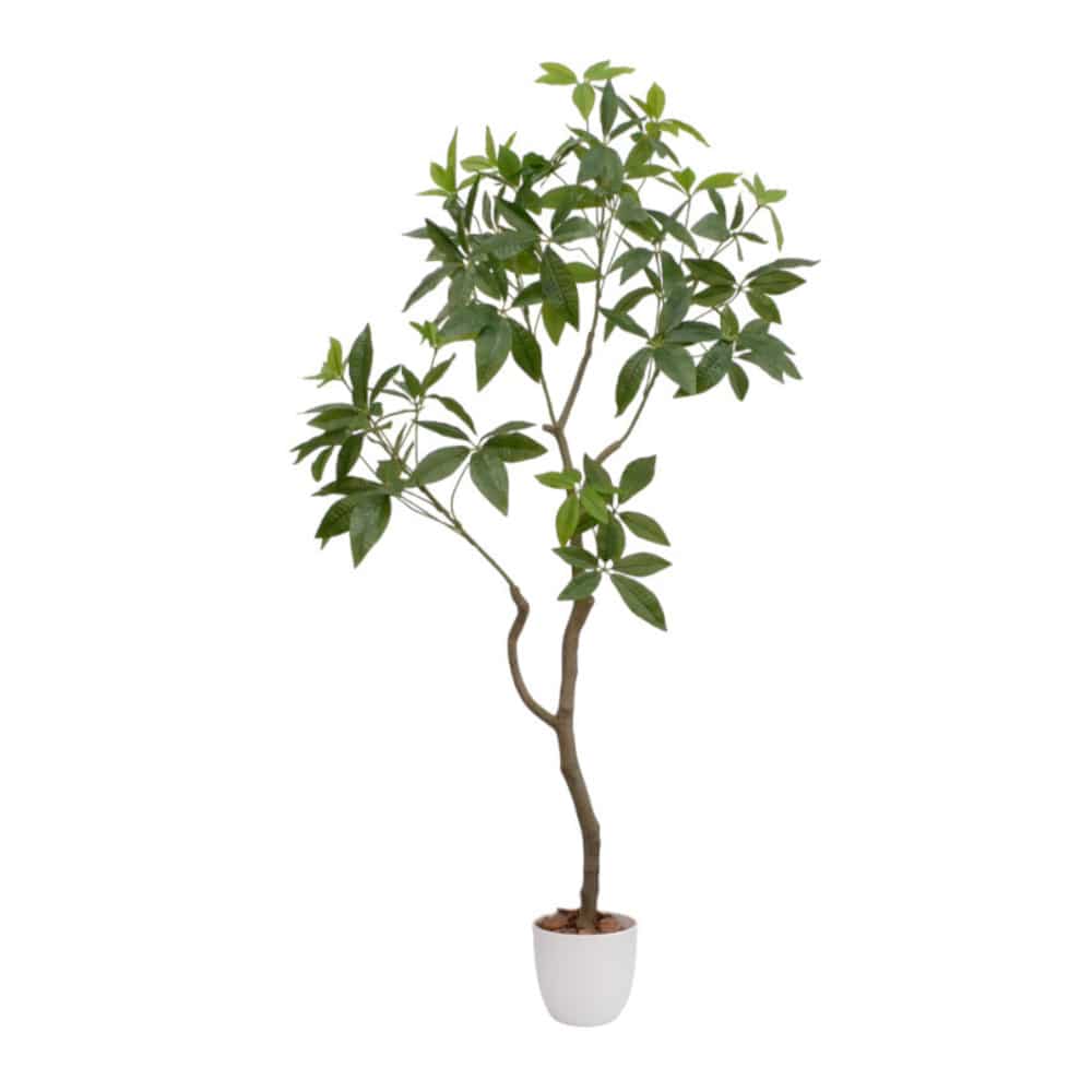 光触媒 インテリアグリーン パキラ[04571] メーカー直送 ▼返品・キャンセル不可【他商品との同時購入不可】