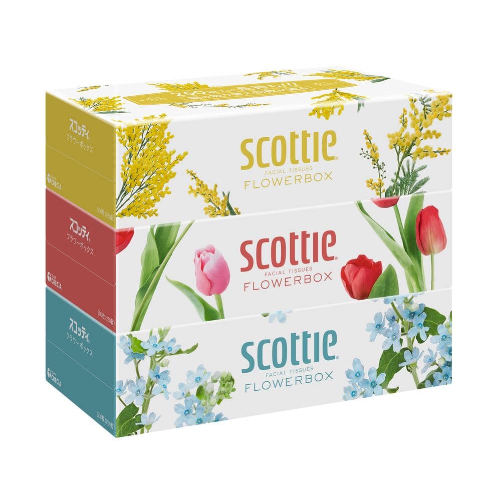 日本製紙 クレシア スコッティ ティシュー フラワーボックス 250組×3個入   [18個セット]
