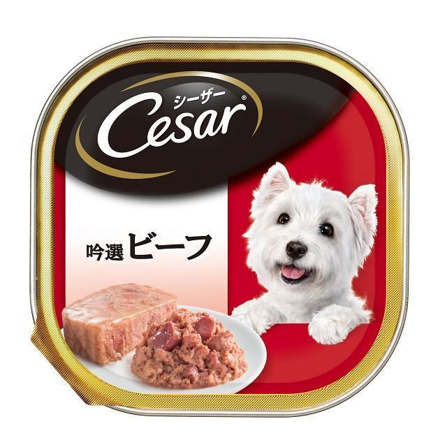 シーザー 吟撰ビーフ 100g 【12個セット】