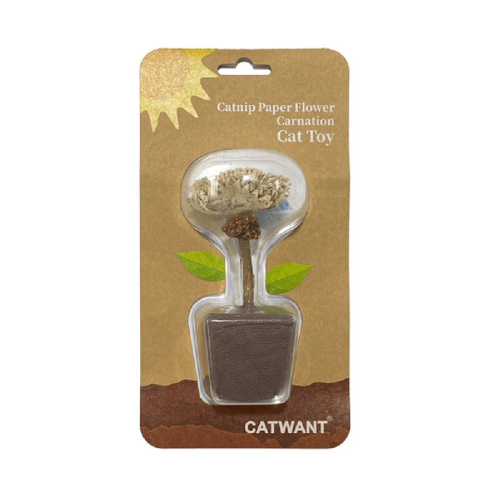 キャットニップカーネーション １個