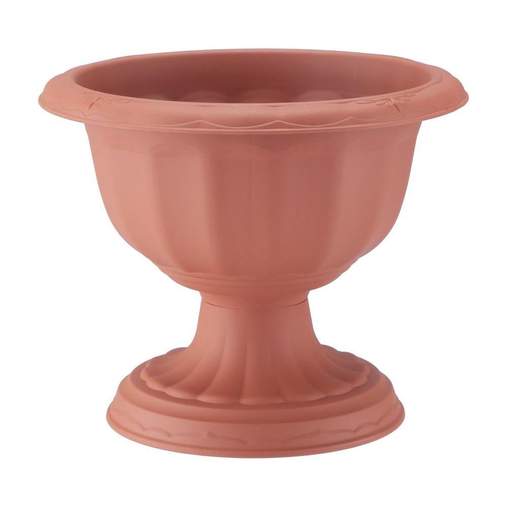 アップルウェアー クイーンカップ ブラウン