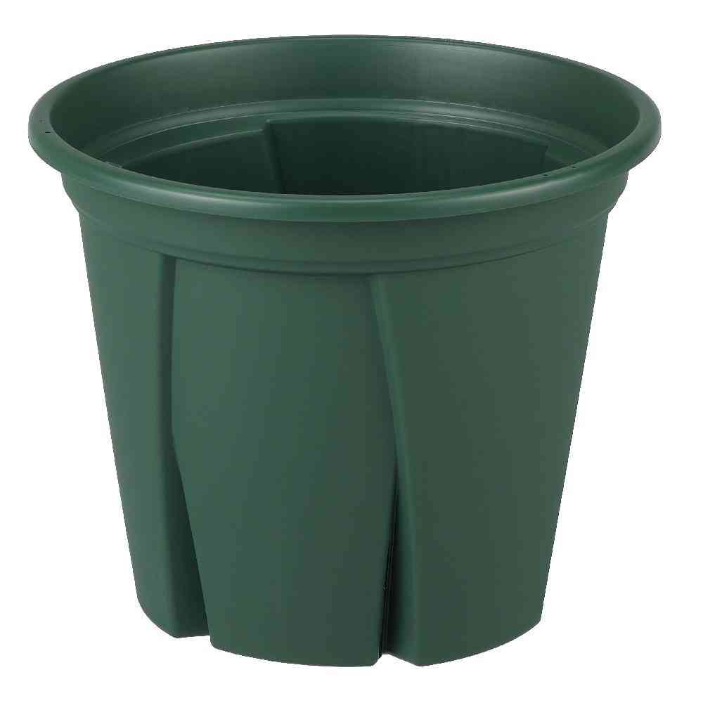 アップルウエアー 根っこつよし 12号 グリーン