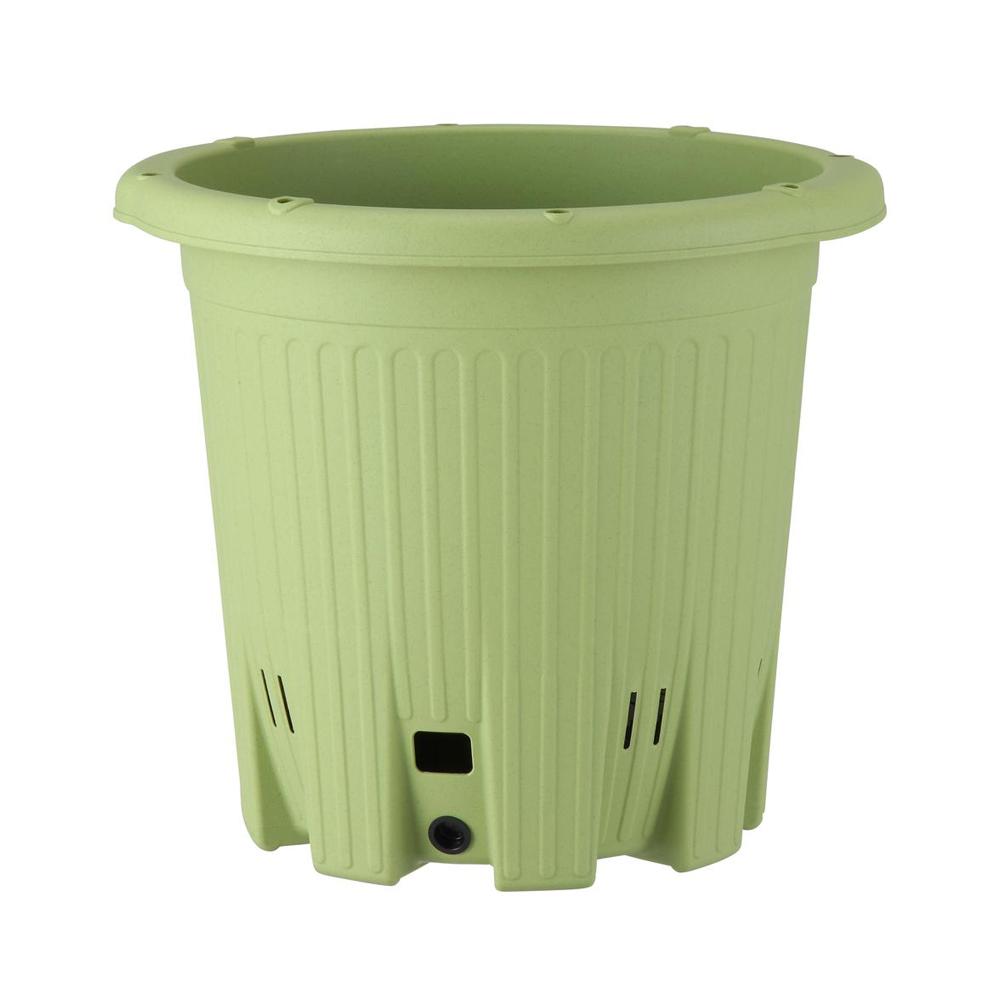 アップルウェアー 楽々菜園 サラダグリーン