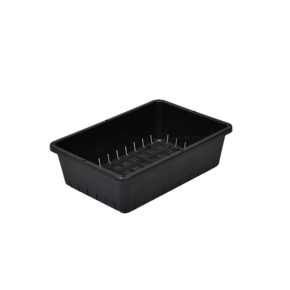 アップルウェアー 育苗コンテナ ブラック