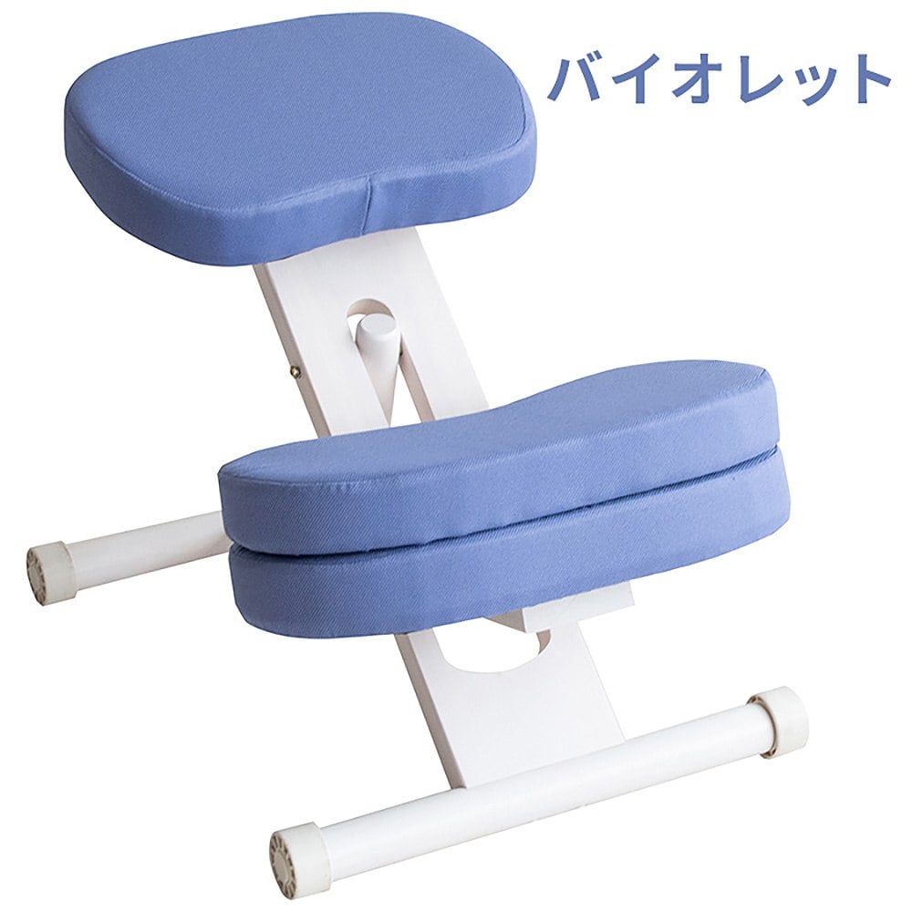 プロポーションチェア CH-N889CK ホワイトバイオレット メーカー直送 ▼返品・キャンセル不可[他商品との同時購入不可]