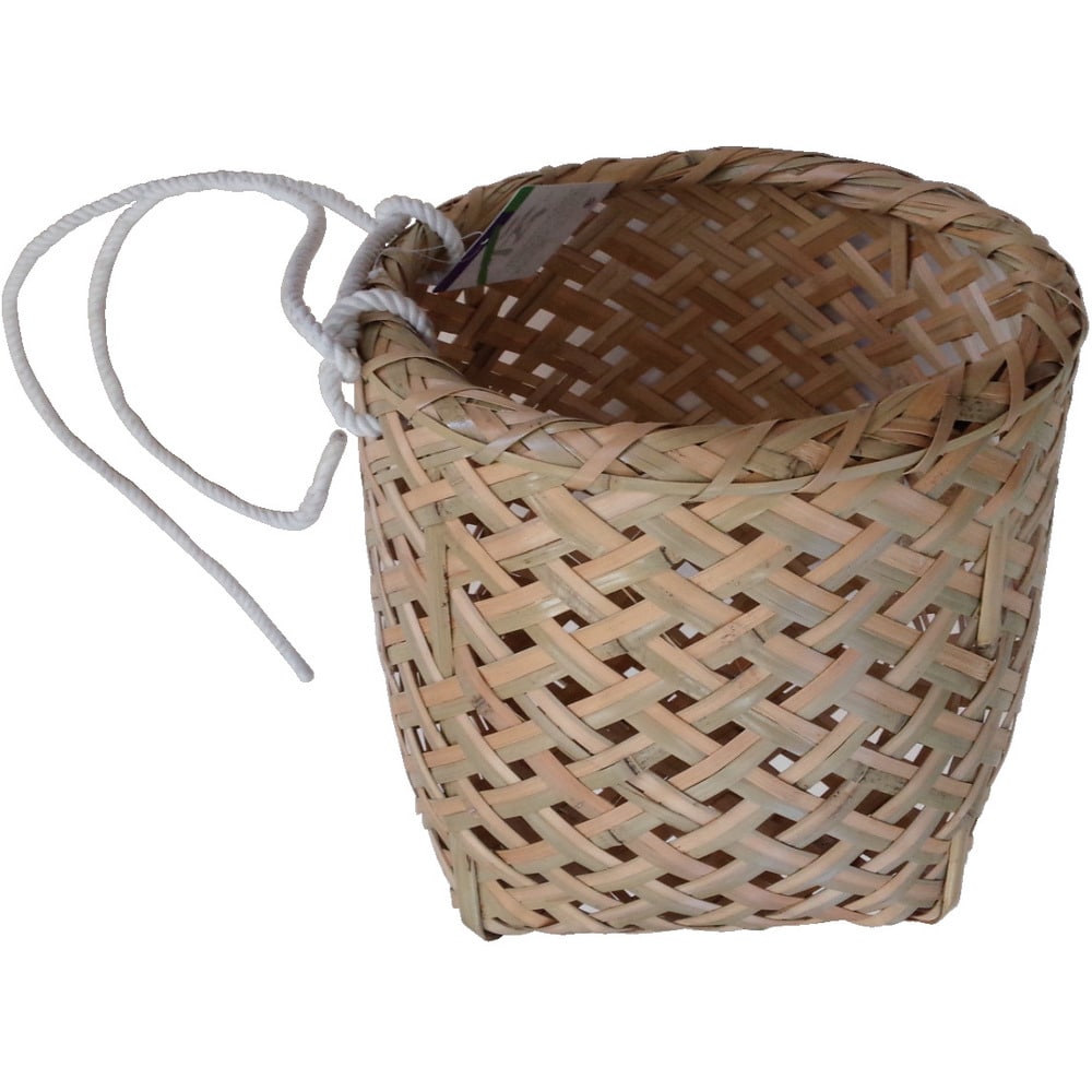 F042 伝蔵 メカイ J1000（大） メーカー直送 ▼返品・キャンセル不可【他商品との同時購入不可】