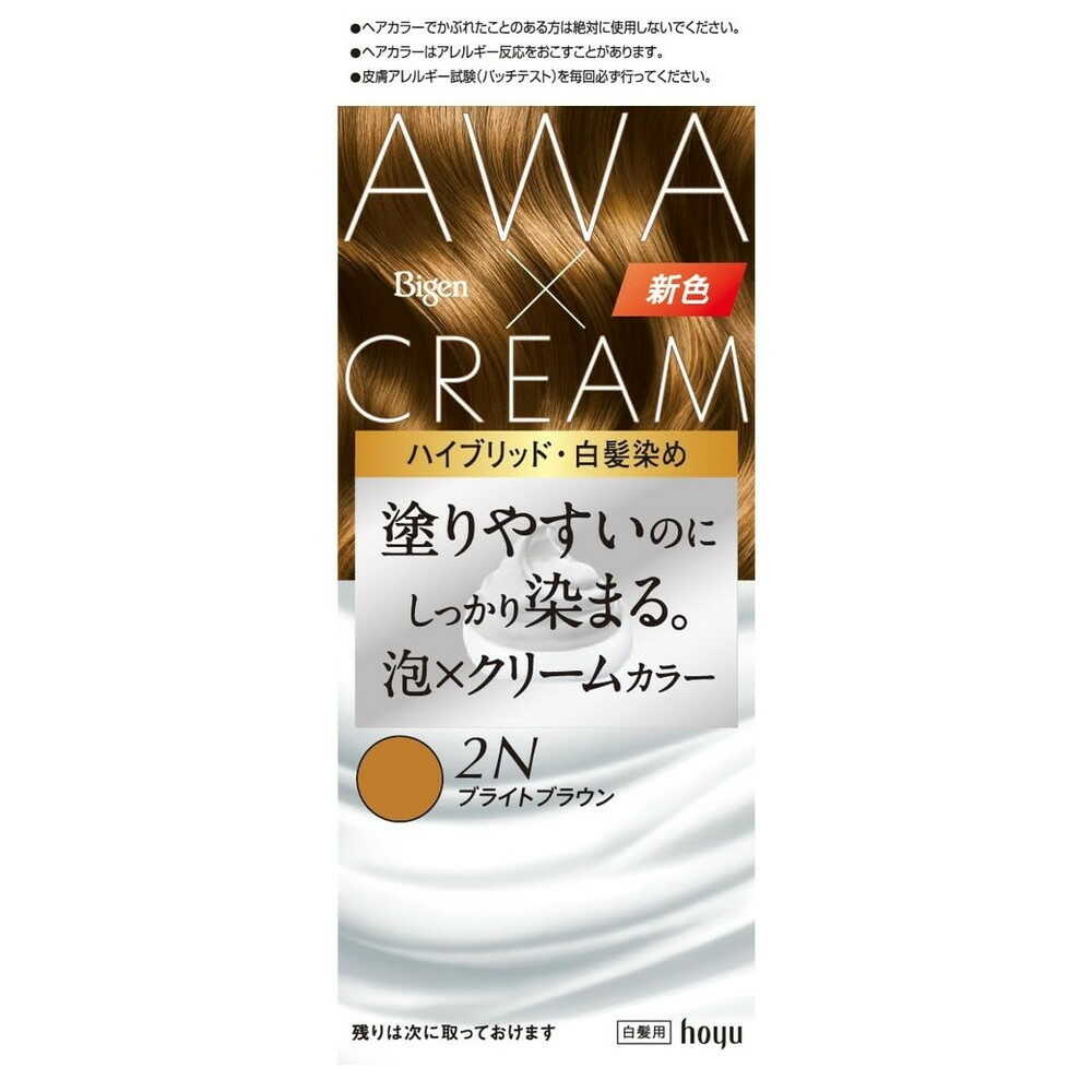 [医薬部外品]ビゲン 泡クリームカラー2N 1剤 50g + 2剤 40g + アフターカラー美容液 5ml