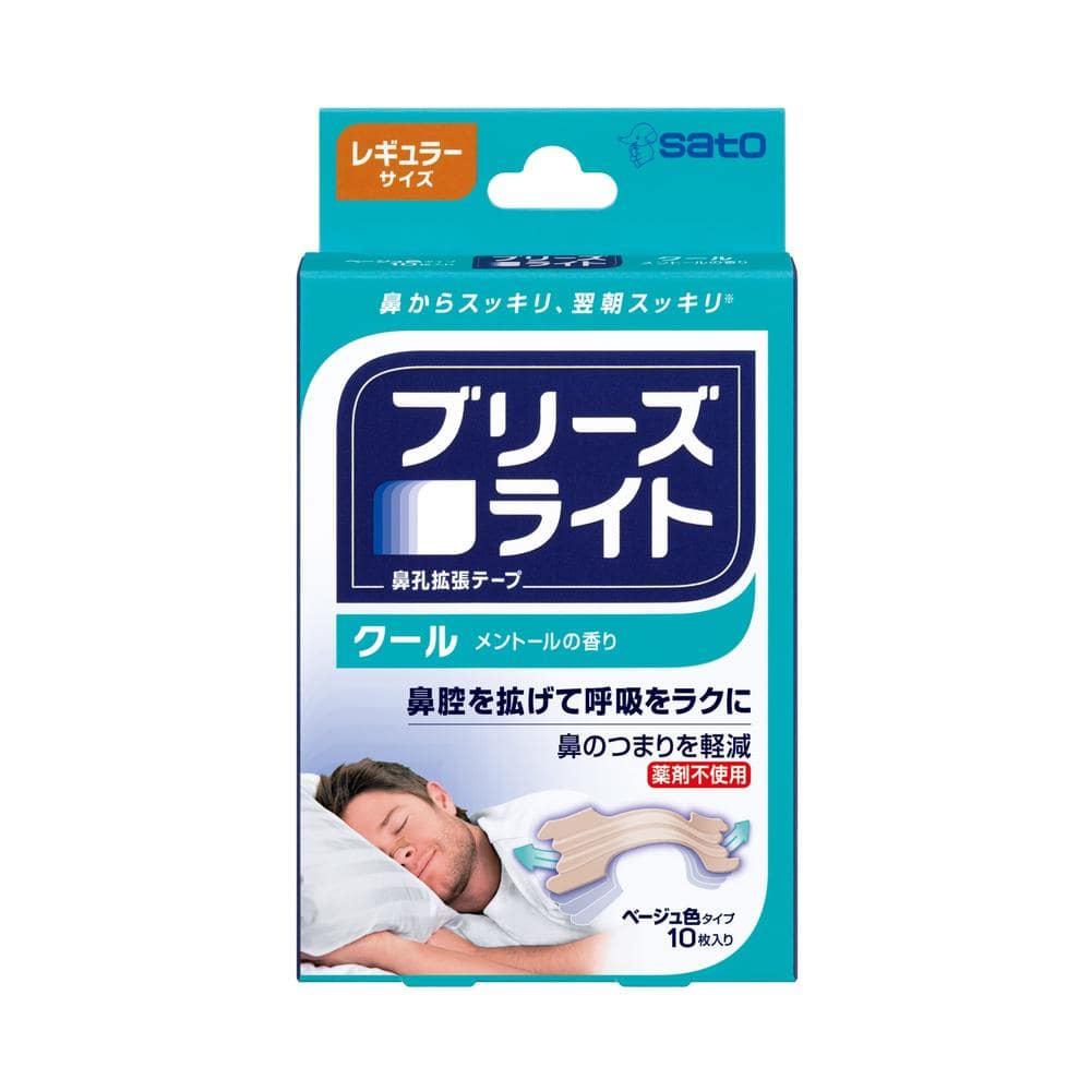 佐藤製薬 ブリーズライト クール レギュラー 10枚