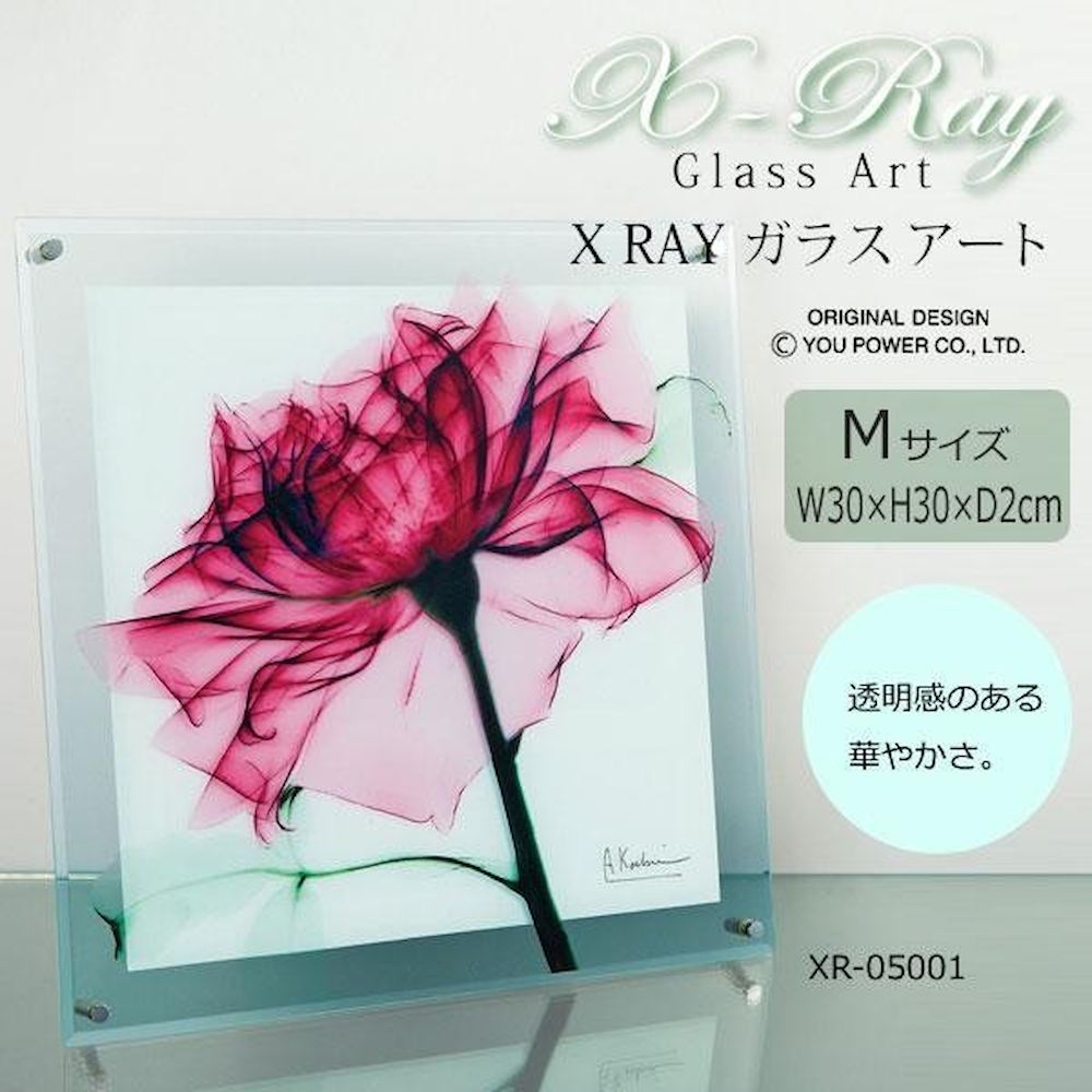 X RAY ガラス アート ティール ローズ Mサイズ 【直送品】 返品・キャンセル・他商品と同時購入は不可