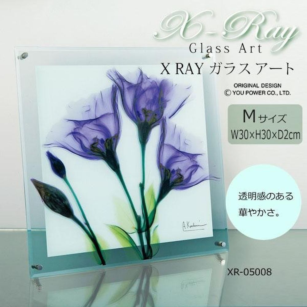 X RAY ガラス アート ジェンティアン Mサイズ 【直送品】 返品・キャンセル・他商品と同時購入は不可