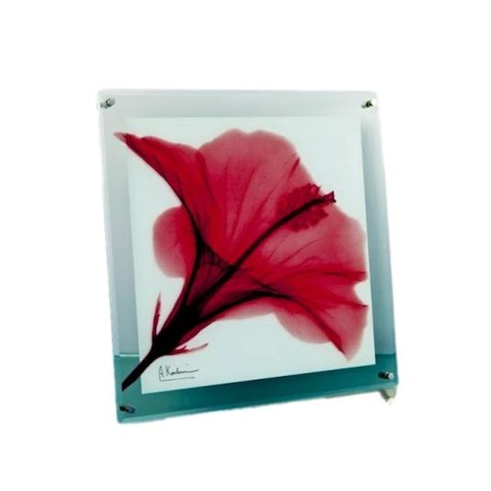 X RAY ガラス アート「レッド ハイビスカス」 Mサイズ 【直送品】 返品・キャンセル・他商品と同時購入は不可