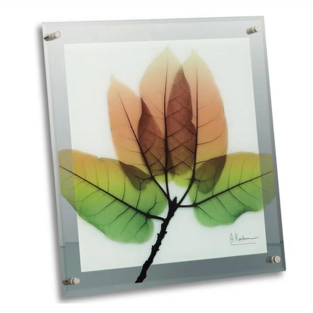 X RAY ガラス アート「アスペン フォール」 Mサイズ 【直送品】 返品・キャンセル・他商品と同時購入は不可