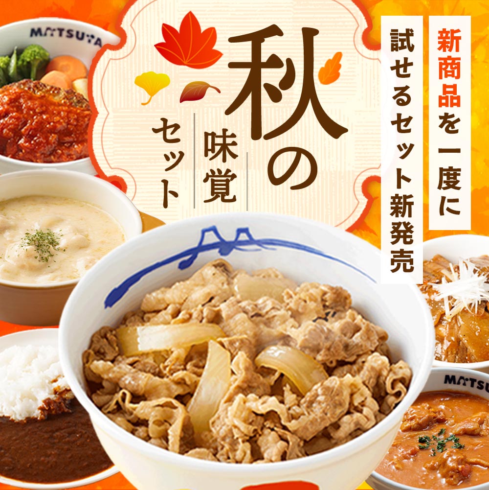 秋の味覚セット 11種25食 牛丼 牛めしの具 【 冷凍 】松屋 ぎゅうどん 牛どんの具