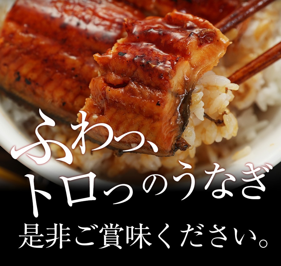 特別価格! 松屋 ふわぁとろ 鰻(うなぎ)960g(80g×12枚)【冷凍】
