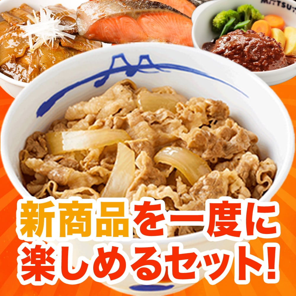 秋の味覚セット 11種25食 牛丼 牛めしの具 【 冷凍 】松屋 ぎゅうどん 牛どんの具