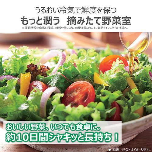 東芝 - 【月末セール】83 特価！薄型ゴールドがおしゃれ☆東芝T554/45KG 月末セール】83 特価！薄型ゴールドがおしゃれ☆東芝T554/45KG