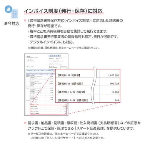 弥生 弥生販売 25 プロフェッショナル 通常版