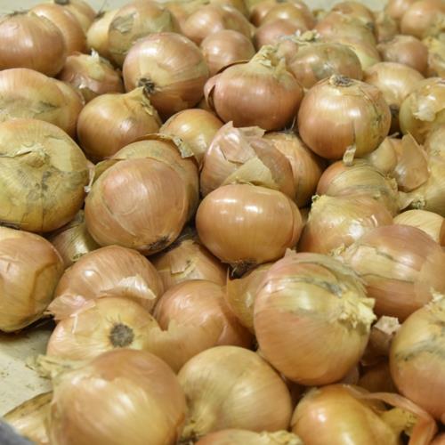 フンドーキン 濃厚焼肉だれ 生にんにく薫る焼肉醤油だれ 300g