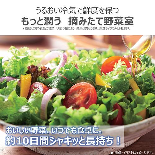 968 送料設置無料　東芝　人気モデル　大型冷蔵庫　501L 968 送料設置無料 東芝 人気モデル 大型冷蔵庫 501L 968 送料