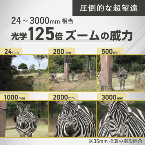 【長期保証付】ニコン(Nikon) COOLPIX P1100 超望遠ズームデジタルカメラ 光学125倍